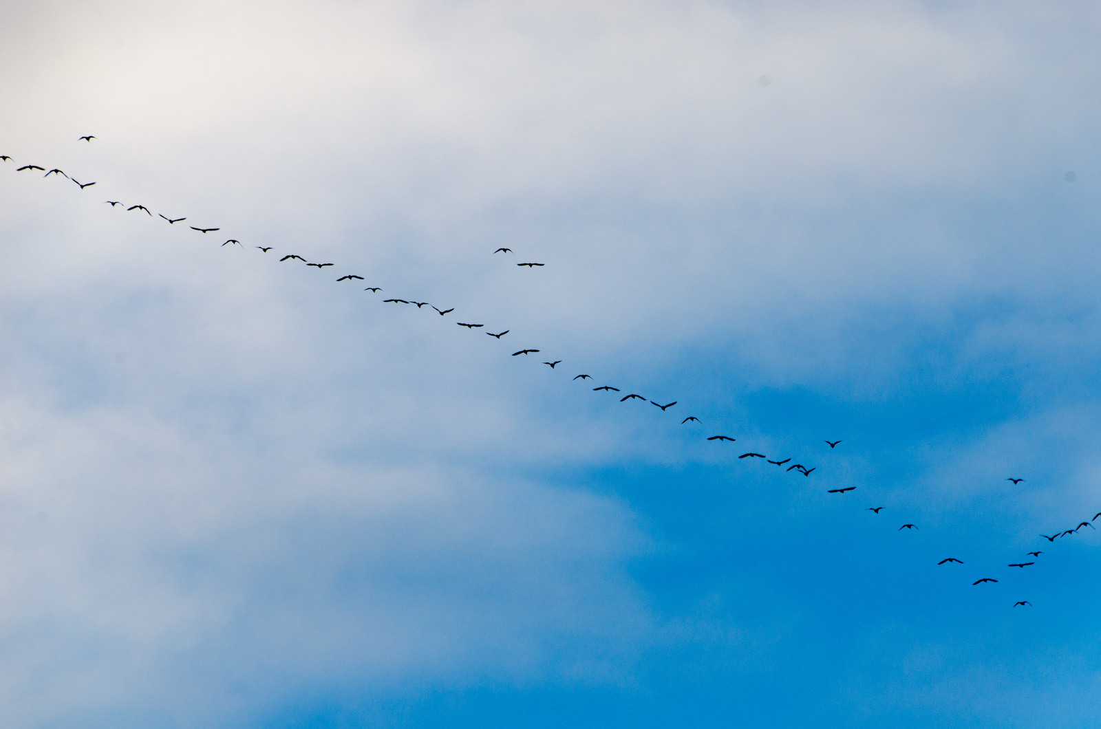 DSC_5133-001